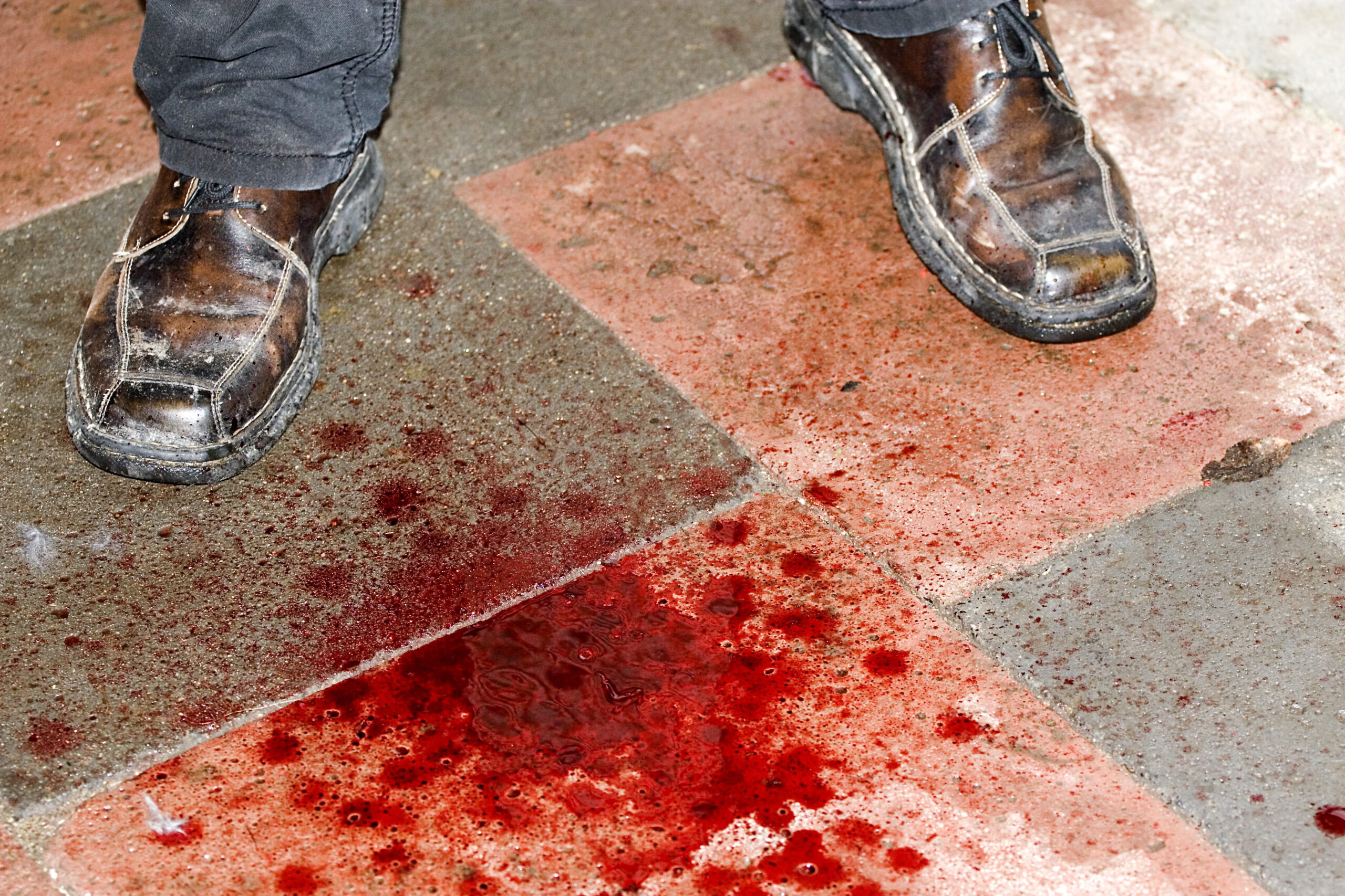 shutterstock_367262153