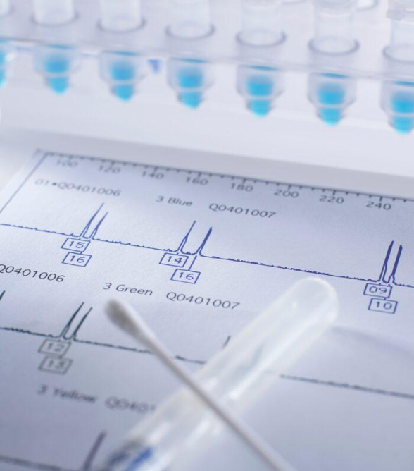 DNA double helix — investigator-mediated contamination