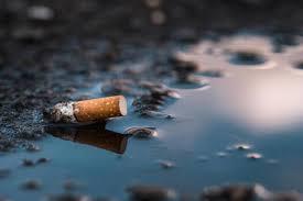 Discarded cigarette butt — example of non-probative sample